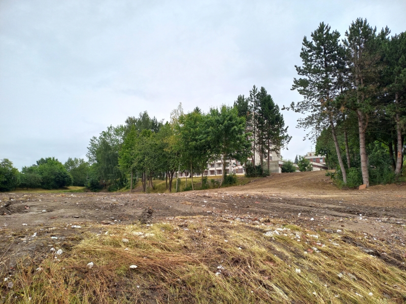Image 13